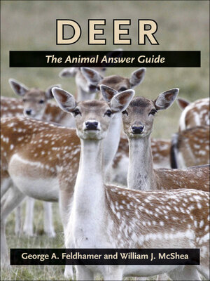 cover image of Deer